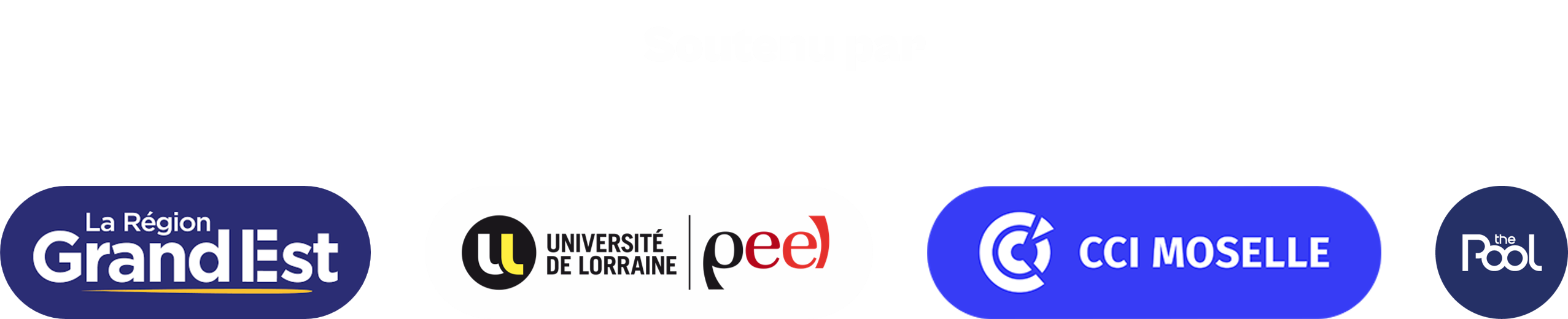 Partenaires de confiance de DiveInTheRoots : Soutenu par [Région Grand Est], [Université de Lorraine et Peel] et [CCI Moselle], [The Pool]